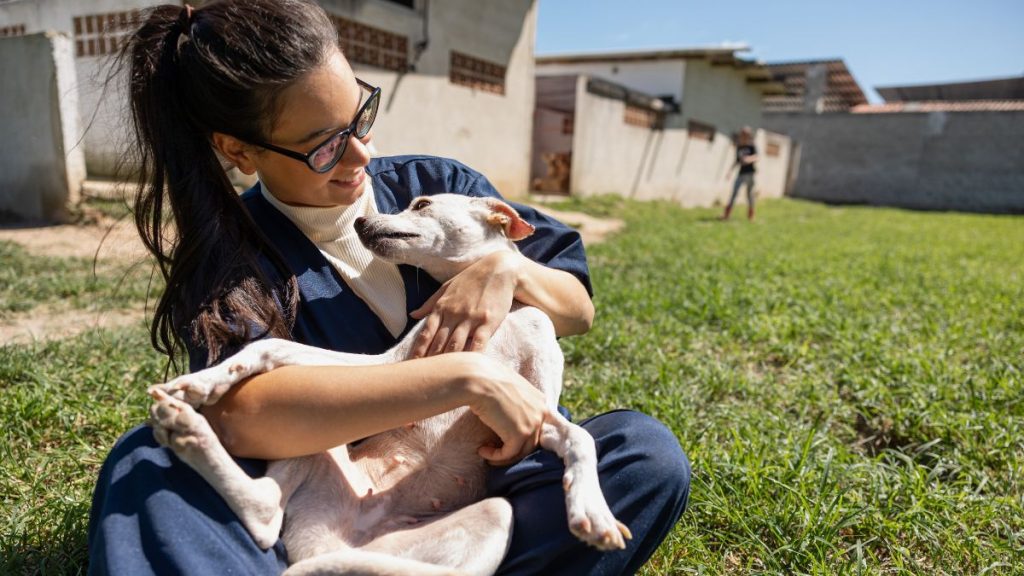 Animales De Compañía. Reforma Contra Maltrato Animal. › Capital Regia